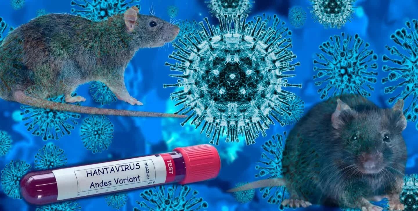 12-1778549567-toan-canh-chuyen-tham-hiem-tau-mv-hondius-hoa-ac-mong-toan-cau-khi-virus-hanta-bung-phat