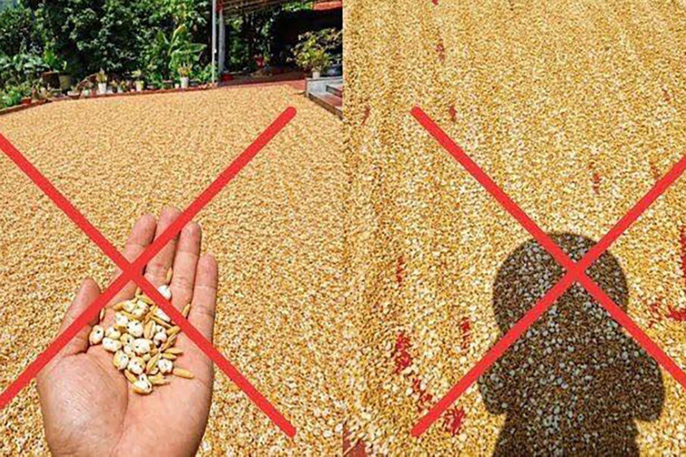 Đăng ảnh thóc “nổ như bỏng” để câu tương tác, người đàn ông bị phạt 7,5 triệu đồng