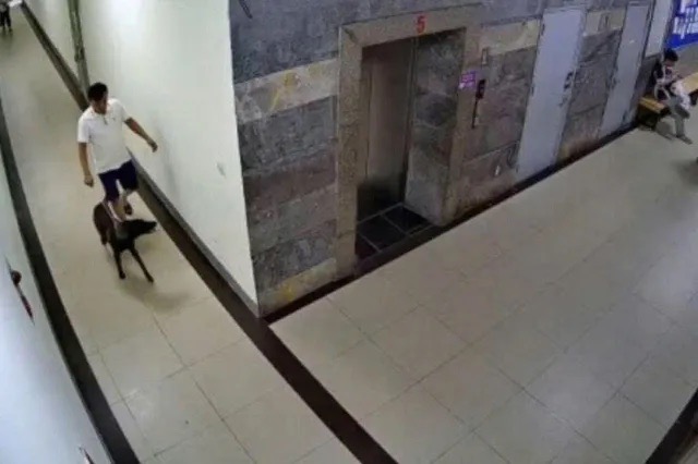Người đàn ông bị đấm gục khi nhắc cư dân đeo rọ mõm cho chó ở Hà Nội: Ngồi dậy là chóng mặt - Ảnh 3.