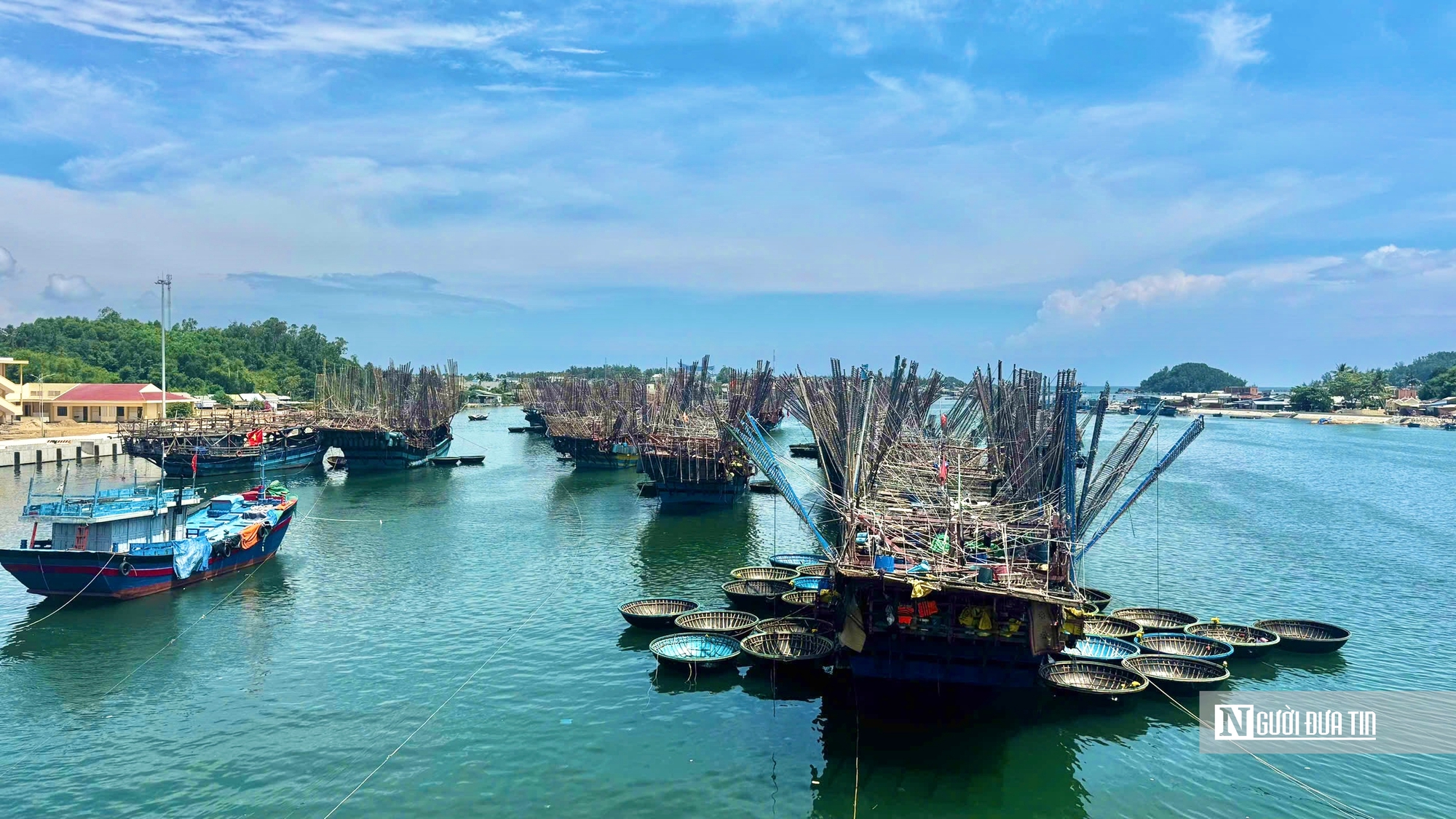 Tàu đầy ắp hải sản nhưng ngư dân Quảng Ngãi vẫn phải “gửi nhờ” cảng ngoài tỉnh - Ảnh 1.