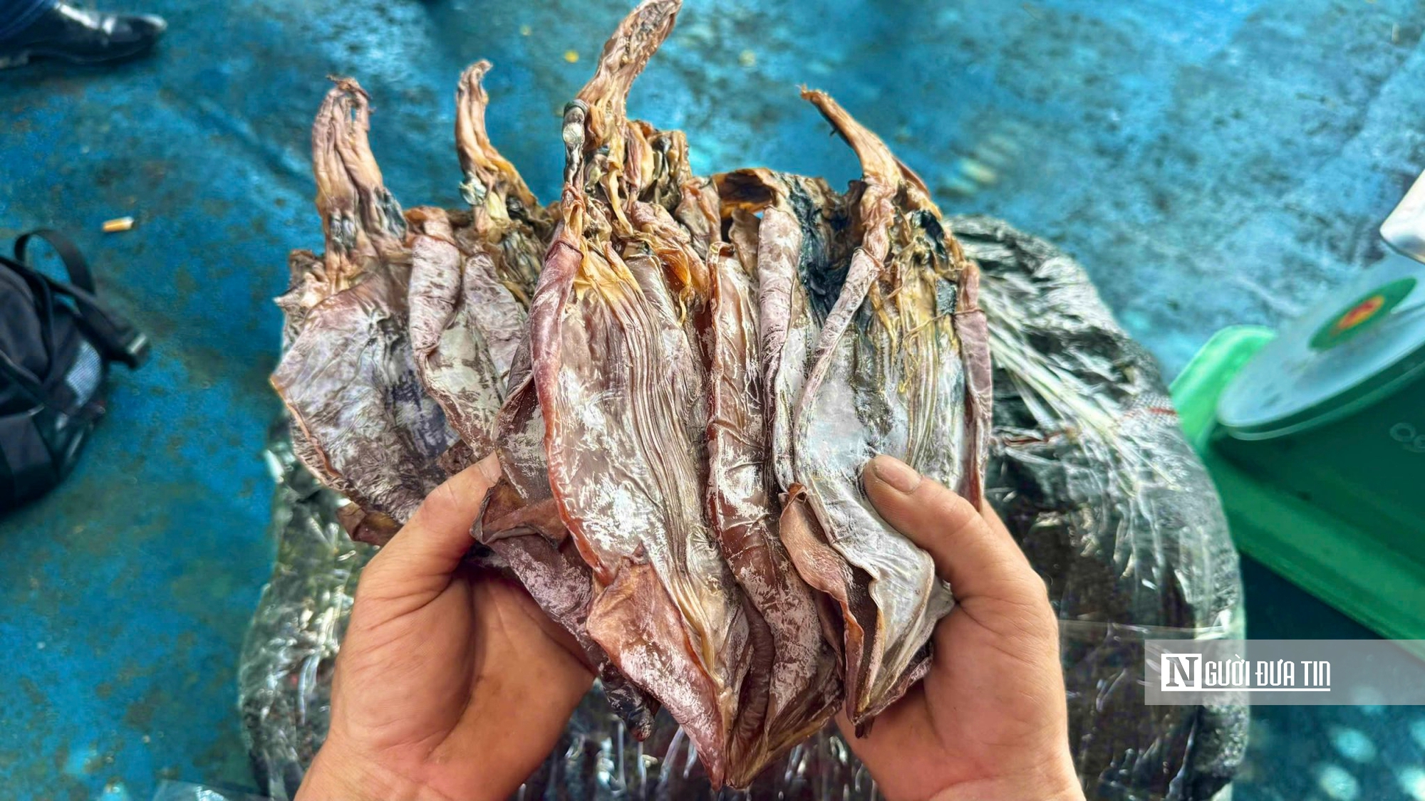 Tàu đầy ắp hải sản nhưng ngư dân Quảng Ngãi vẫn phải “gửi nhờ” cảng ngoài tỉnh - Ảnh 5.