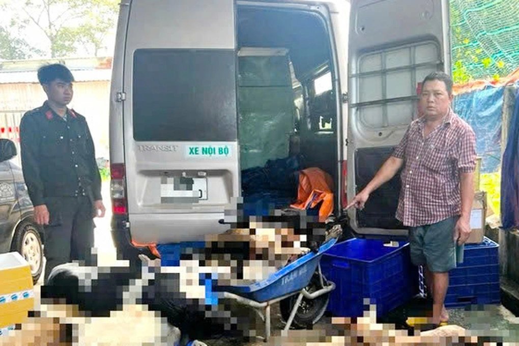 Triệt phá đường dây trộm chó liên tỉnh, bắt 9 đối tượng cùng hơn 100 con chó tại Tây Ninh