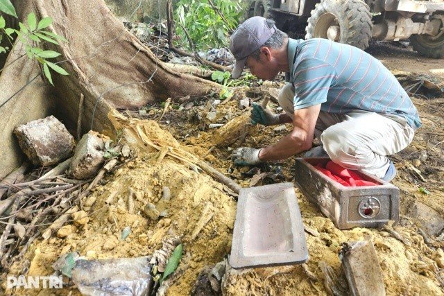 Ninh Bình: Phát hiện gần 40 bộ hài cốt thai nhi nằm rải rác ở các gốc cây, bờ tường, số lượng còn tăng nhiều thêm