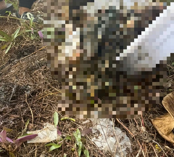 Phát hiện thi thể nam thiếu niên 14 tuổi phân hủy ở Bệnh viện Đa khoa Bà Rịa sau nhiều ngày mất tích