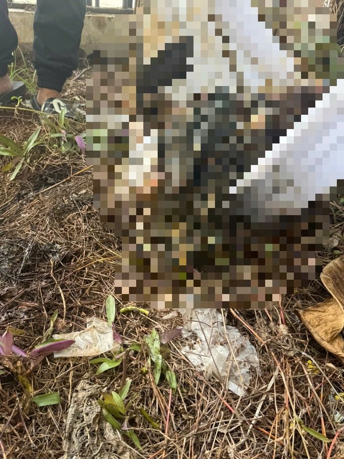 Phát hiện thi thể nam thiếu niên 14 tuổi phân hủy ở Bệnh viện Đa khoa Bà Rịa sau nhiều ngày mất tích