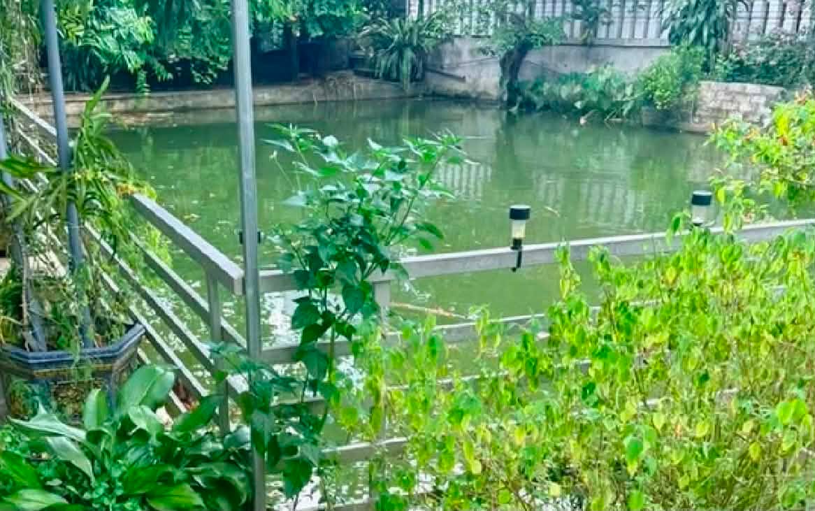 Phát hiện thi thể chị em ruột 7 tuổi và 3 tuổi dưới ao hàng xóm: Đau xót hoàn cảnh gia đình nạn nhân