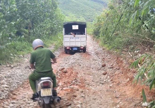 Băng rừng cứu hai người ở Quảng Ngãi bị sét đánh
