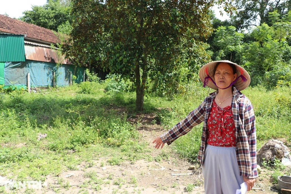 Quảng Ngãi: Đất có nhà ở gần 50 năm, người phụ nữ bất ngờ khi sổ đỏ vẫn ghi đất vườn