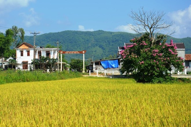 Quảng Ngãi sắp xếp lại 1.095 thôn, tổ dân phố