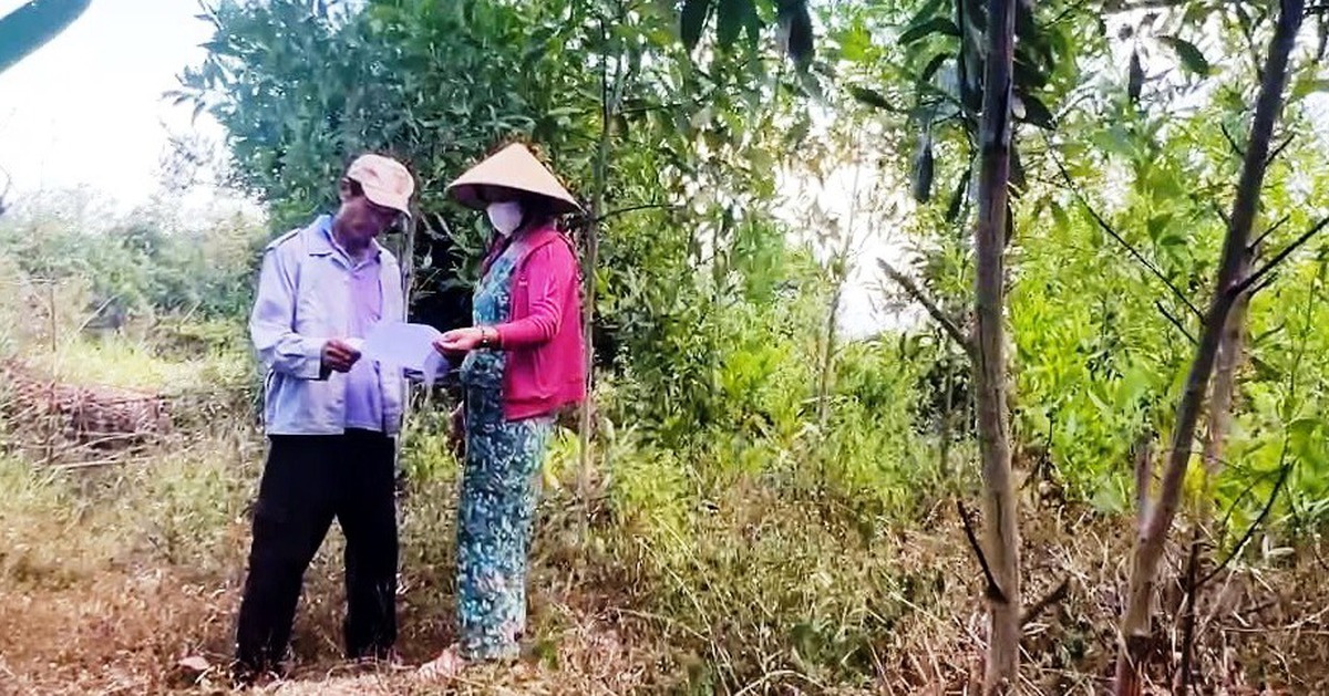 Quảng Ngãi: Thu hồi dự án FLC nhưng ‘quên’ hủy quyết định thu hồi đất