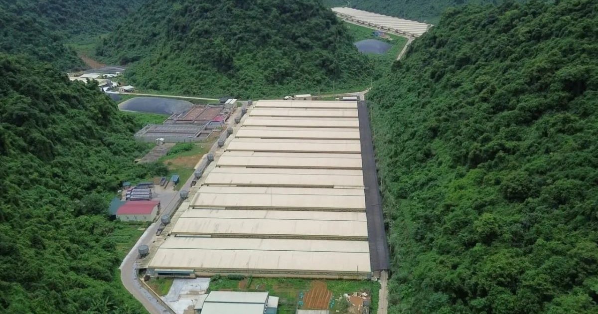 Tai nạn lao động tại trang trại lợn ở Thanh Hóa: 5 công nhân tử vong