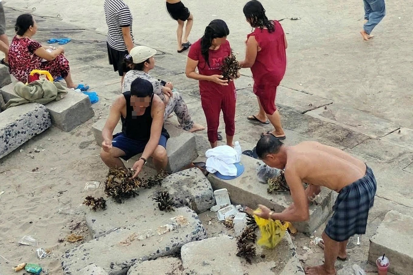 Bẻ san hô tại Hòn Chồng mang về làm kỷ niệm: Nhóm du khách bị công an triệu tập khẩn cấp, đối mặt mức phạt đến 100 triệu đồng