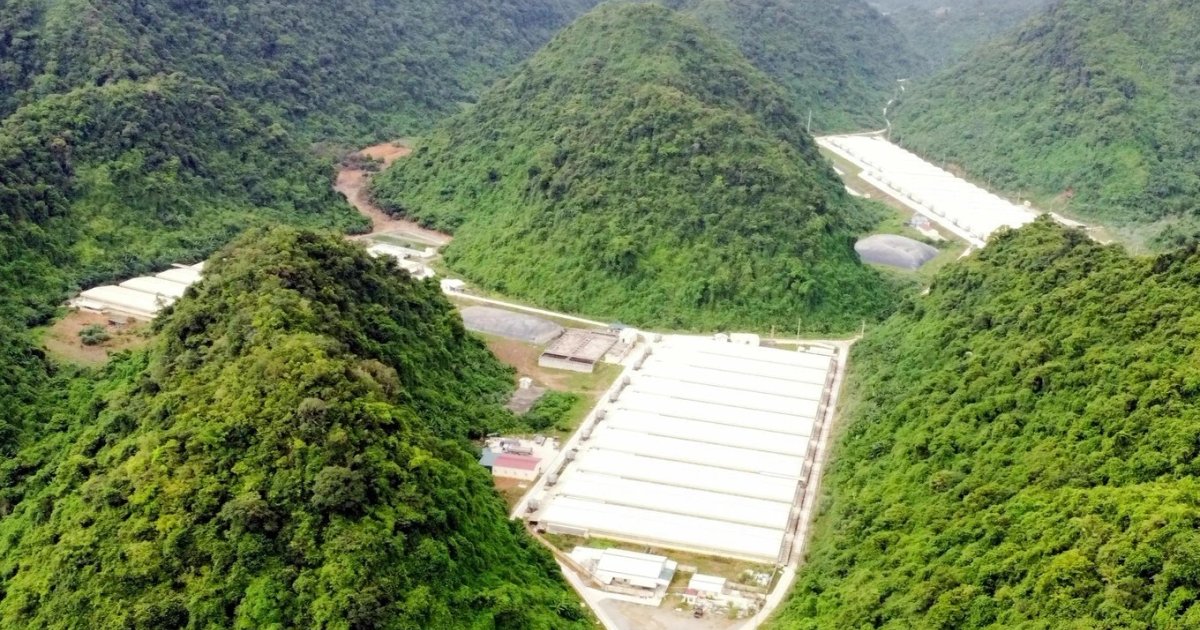 Diễn biến mới vụ 5 người tử vong tại trang trại lợn: Doanh nghiệp từng bị xử phạt