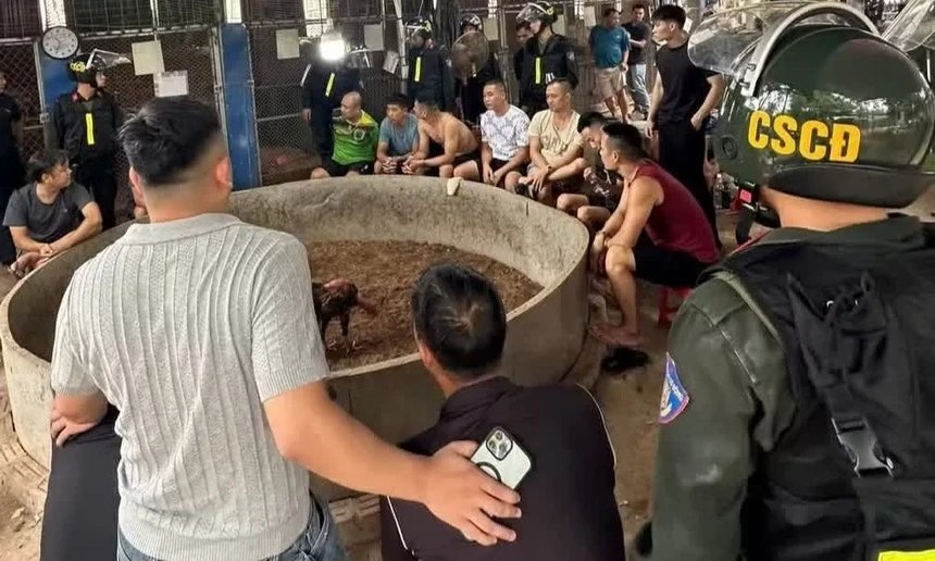 Triệt phá sới đá gà liên tỉnh, bắt tạm giam 21 đối tượng