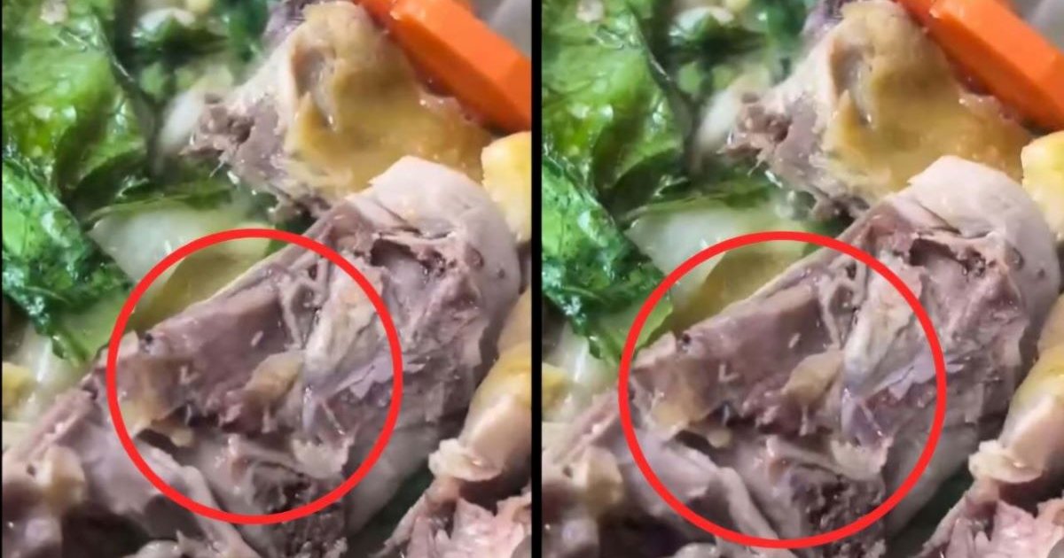 Vụ dòi bò lúc nhúc trong đĩa thịt gà tiệc tân gia ở Đắk Lắk: Người đăng clip lên tiếng