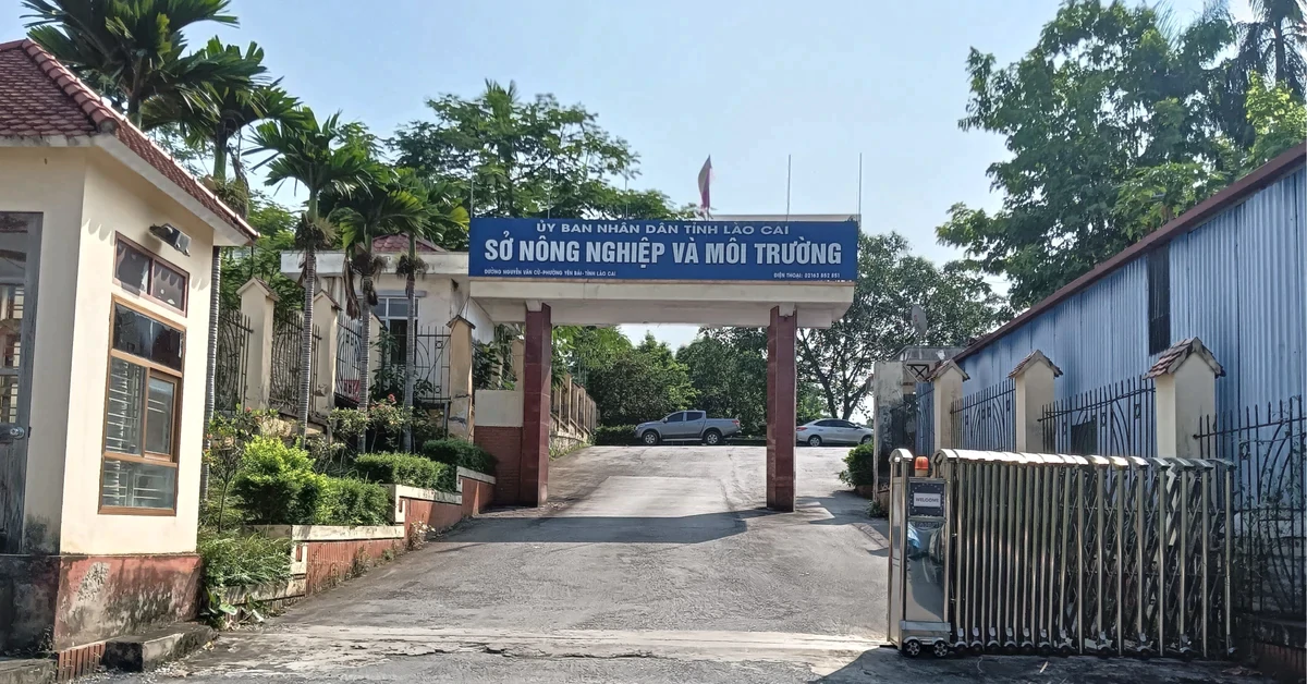 Nam cán bộ Sở Nông nghiệp và Môi trường tử vong treo cổ tại cơ quan