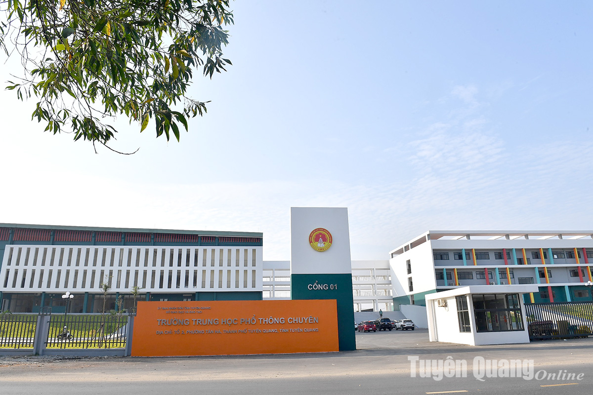 Chưa từng có trong lịch sử thi cử: 7 số báo danh liền nhau đạt điểm 10 Toán tốt nghiệp THPT