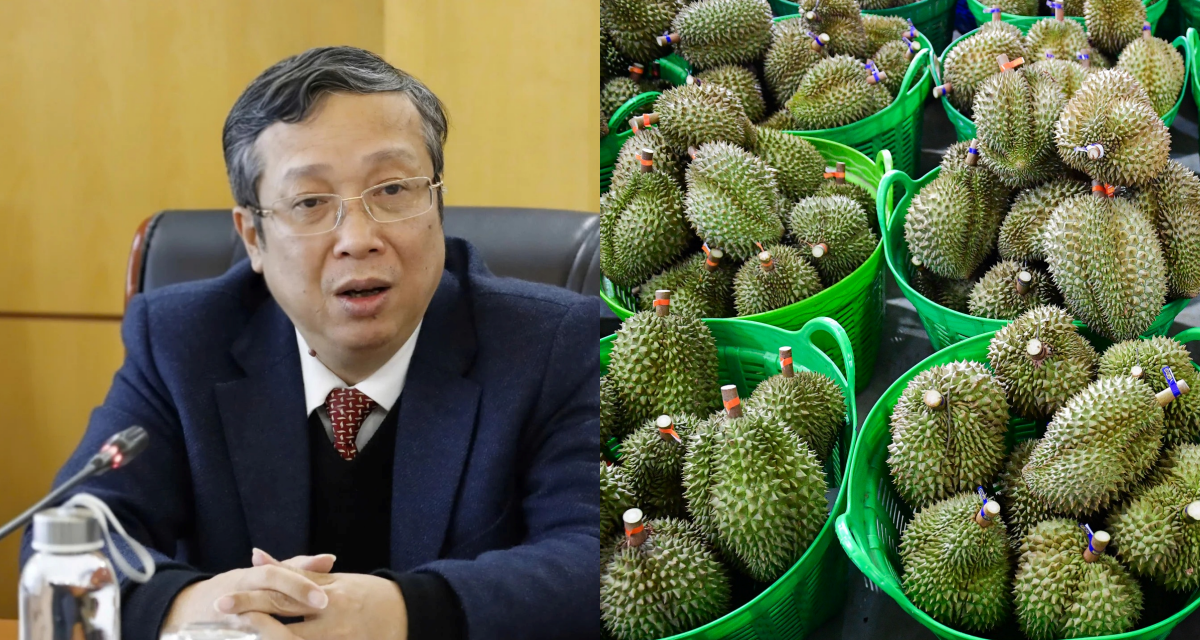 Thứ trưởng cùng loạt cán bộ bị bắt, góc khuất trong cấp mã số vùng trồng sầu riêng được hé mở
