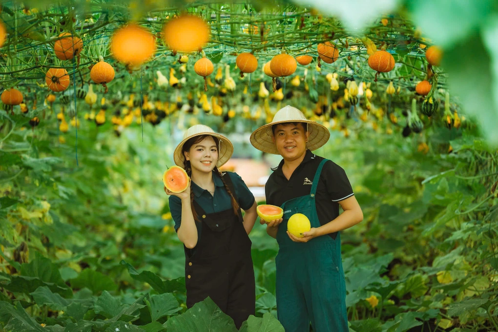 Quảng Ngãi: Từ 2 người xa lạ đến trang trại thu hơn nửa tỷ đồng/năm và một đám cưới