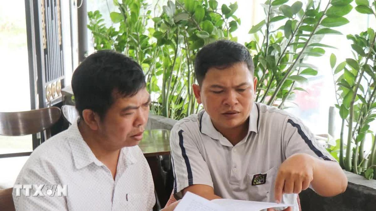 Quảng Ngãi: Bản án có hiệu lực hơn 4 tháng, Ủy ban nhân dân xã vẫn chưa thi hành
