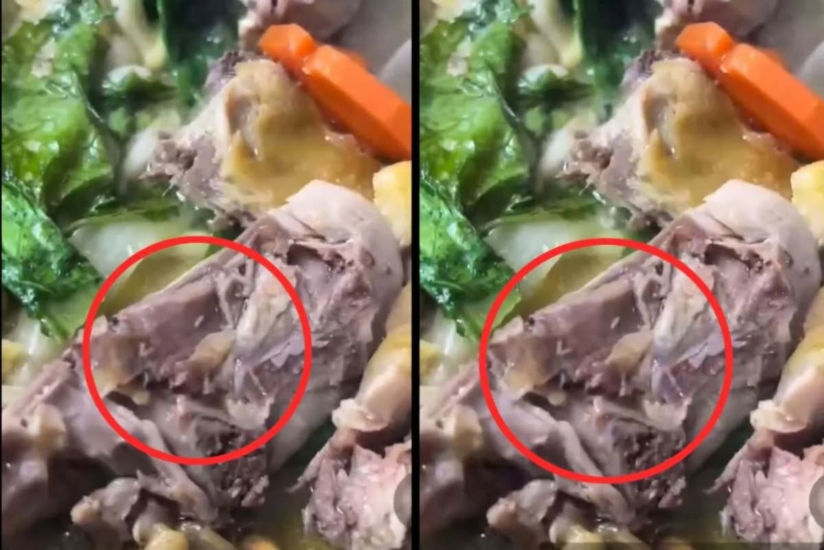 Vụ dòi lúc nhúc trong lẩu gà tại tiệc tân gia: Xử phạt chủ cơ sở nấu tiệc