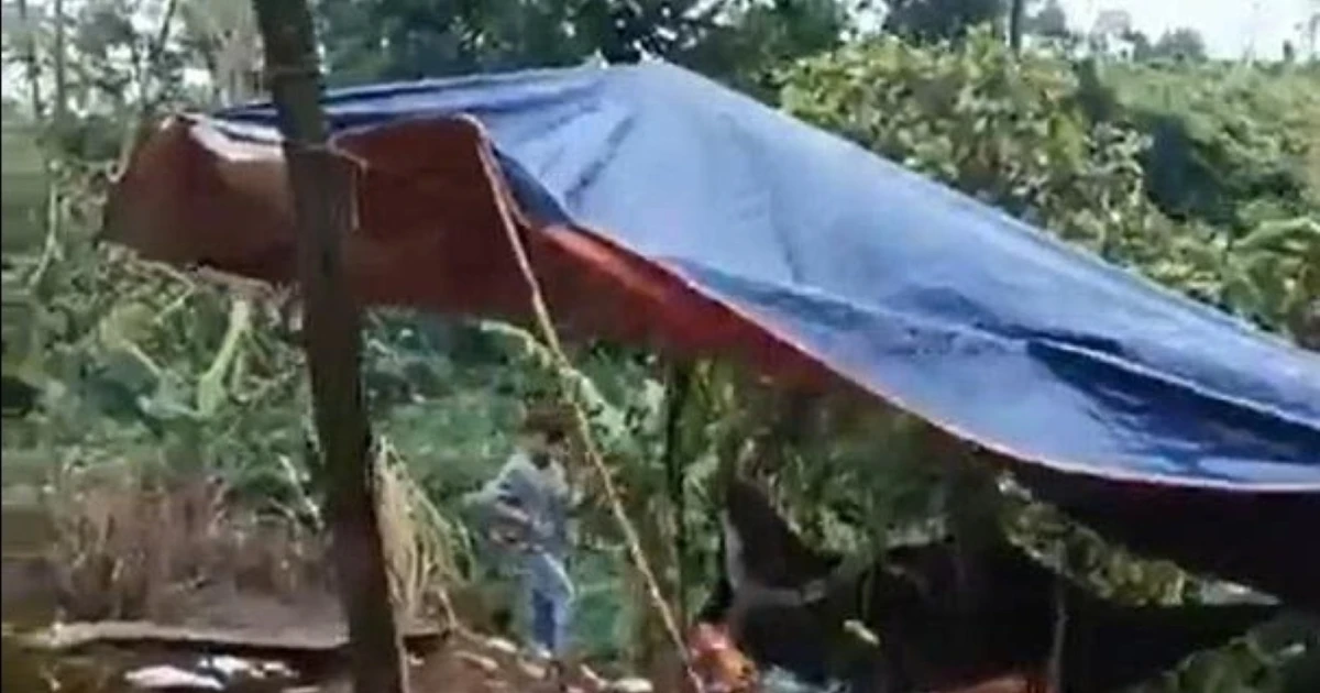 Nam giáo viên khai quá trình sát hại, phi tang thi thể nữ nhân viên thư viện cùng trường