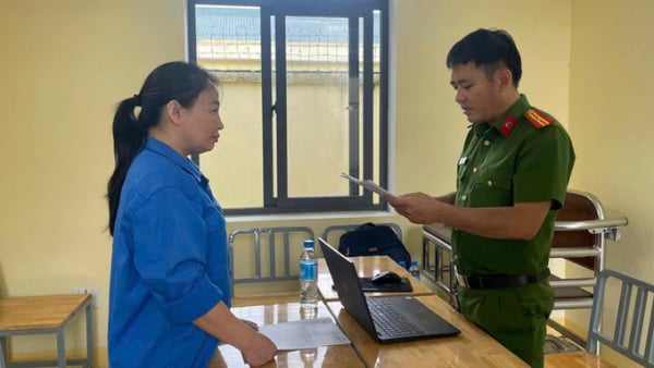 Mua hóa đơn trái phép, trốn thuế, Giám đốc và kế toán Công ty Lý Tuấn bị khởi tố