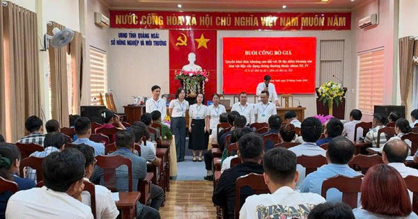 “Choáng váng” giá cát đấu giá tại Quảng Ngãi: Vượt mốc 1 triệu đồng/m³, cao gấp 4 lần thị trường