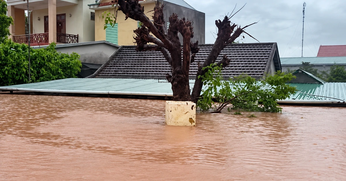 Mưa lũ bủa vây nhiều vùng Quảng Trị, hàng trăm nhà dân chìm trong ‘biển nước’