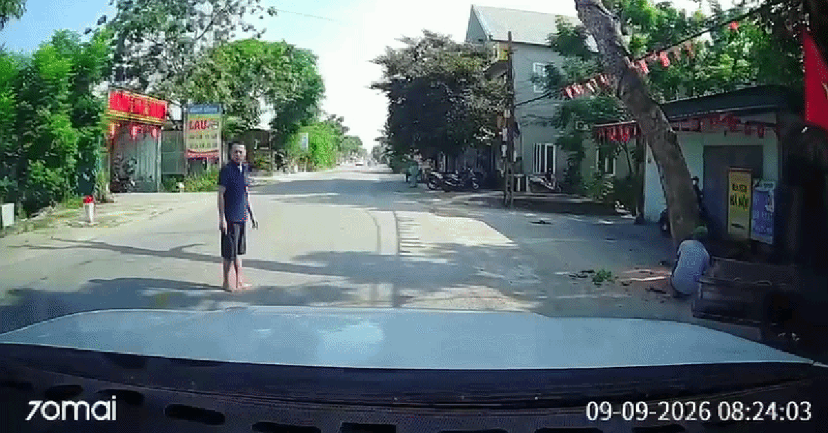 Vụ cưa cây đổ ra đường, đè người đi xe máy tử vong: Công an triệu tập chủ nhà và người cưa cây thuê