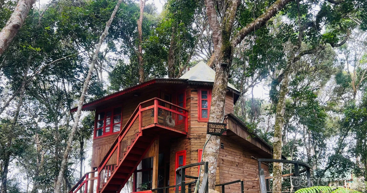 Độc, lạ khu nhà trên cây ở Quảng Ngãi được đề cử Làng du lịch tốt nhất thế giới