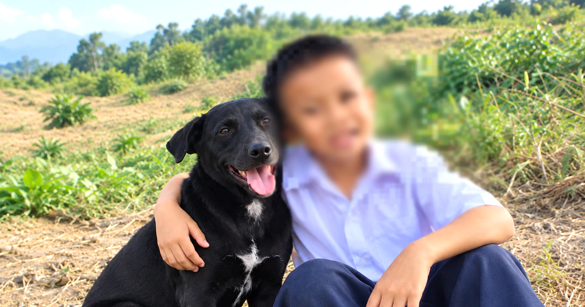 Chó Đen theo sát cậu chủ nhỏ lạc giữa núi rừng: Từng suýt bị bỏ rơi, gia đình cậu bé xin nuôi