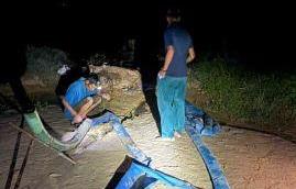 Bắt quả tang ‘cát tặc’ trên sông Trà Bồng