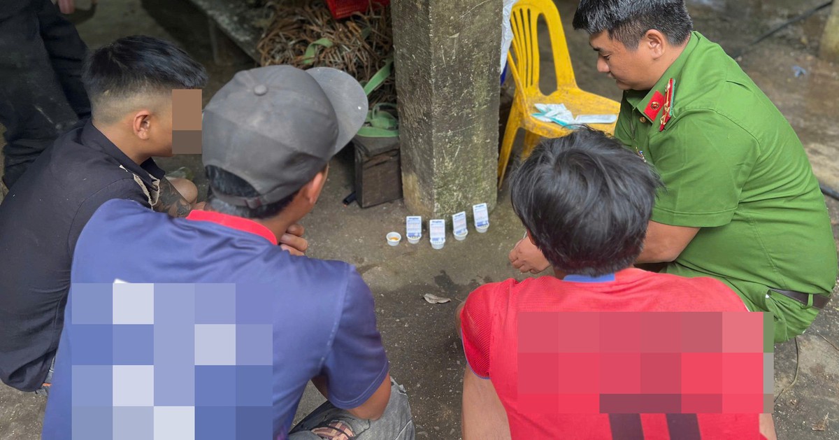Công an bất ngờ kiểm tra 39 người tại các vườn sâm Ngọc Linh