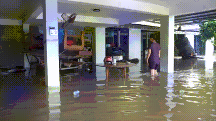 Nước ngập tràn vào nhà, người dân ở Quảng Ngãi bế lợn chạy lũ