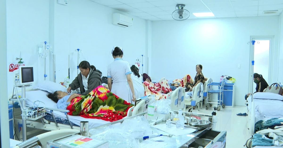 Lấy mẫu điều tra vụ nghi ngộ độc bánh mì tập thể ở Quảng Ngãi
