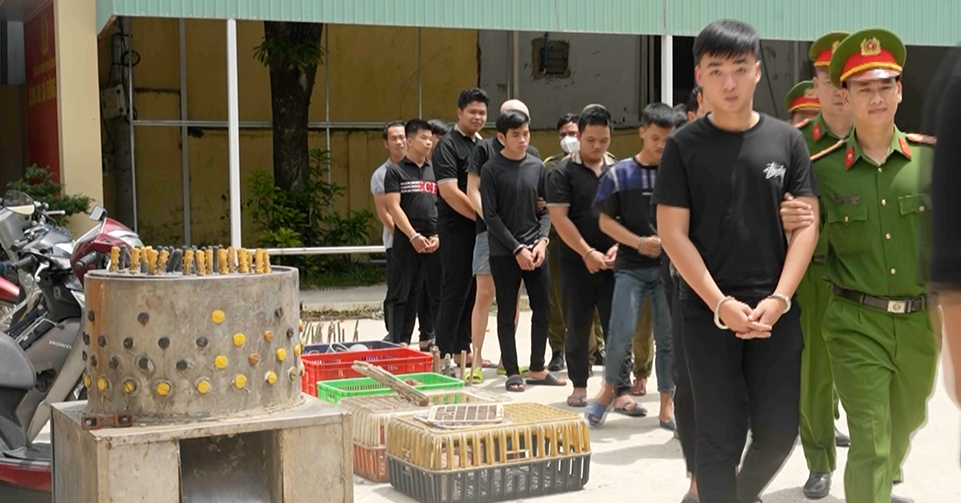 Bắt tạm giam 12 người trong đường dây trộm, tiêu thụ hàng nghìn con mèo